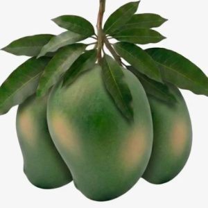 Amrupali