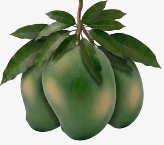 Amrupali Amrupali
